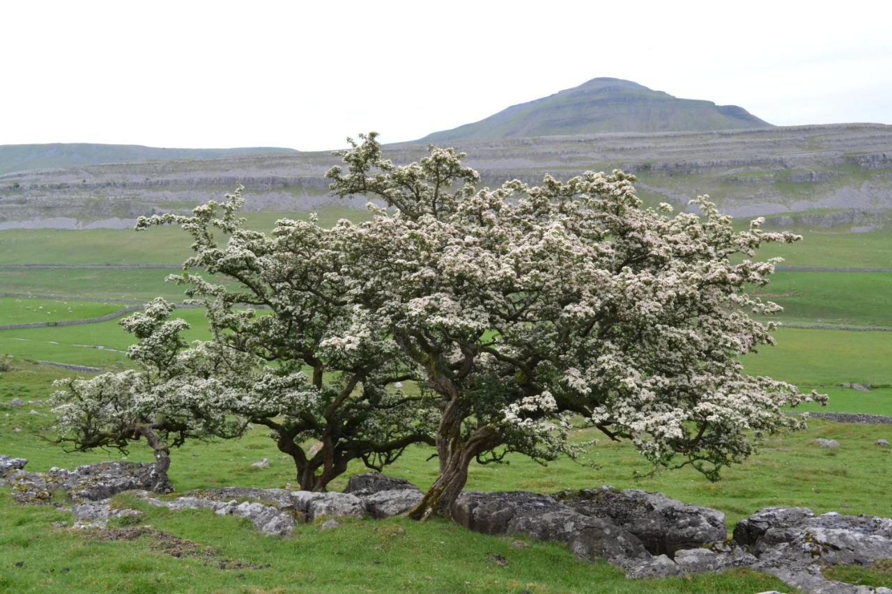 Dalecote Barn Bed & Breakfast Ingleton  Esterno foto