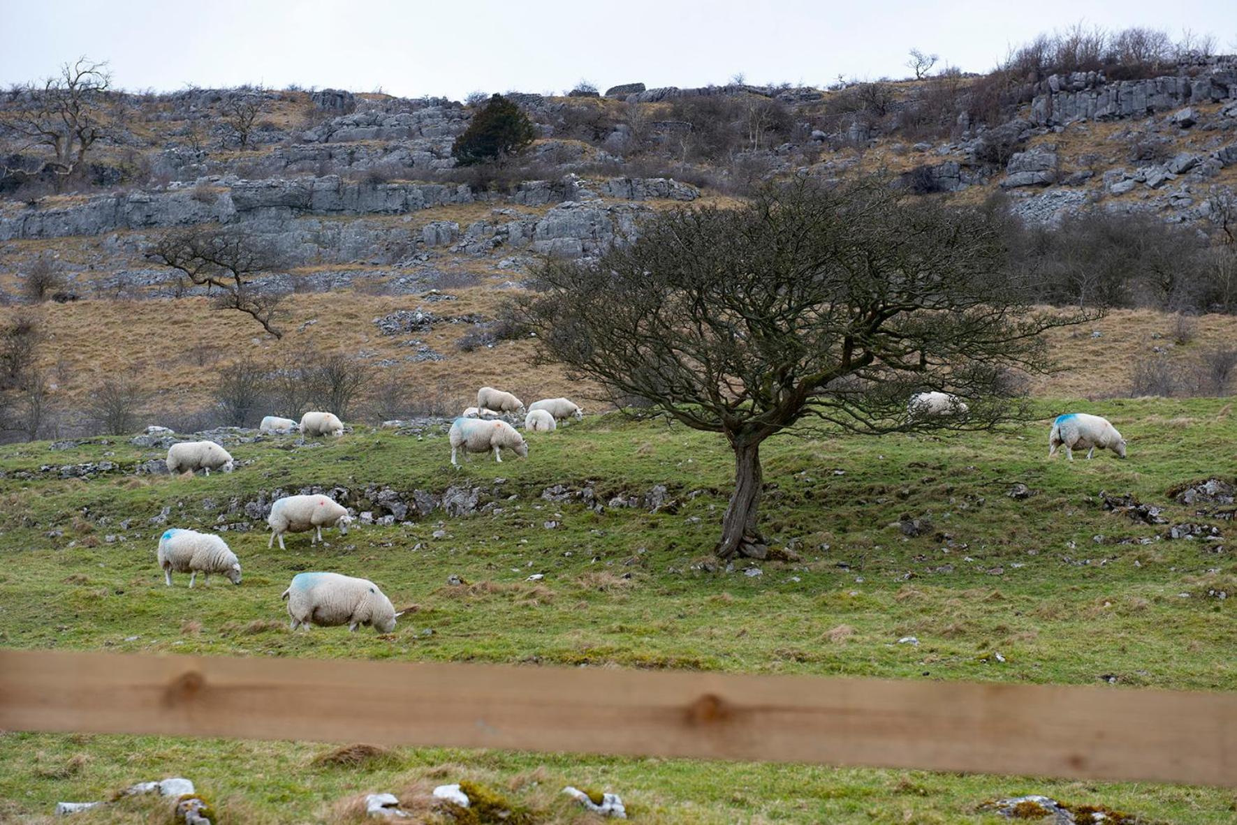Dalecote Barn Bed & Breakfast Ingleton  Esterno foto